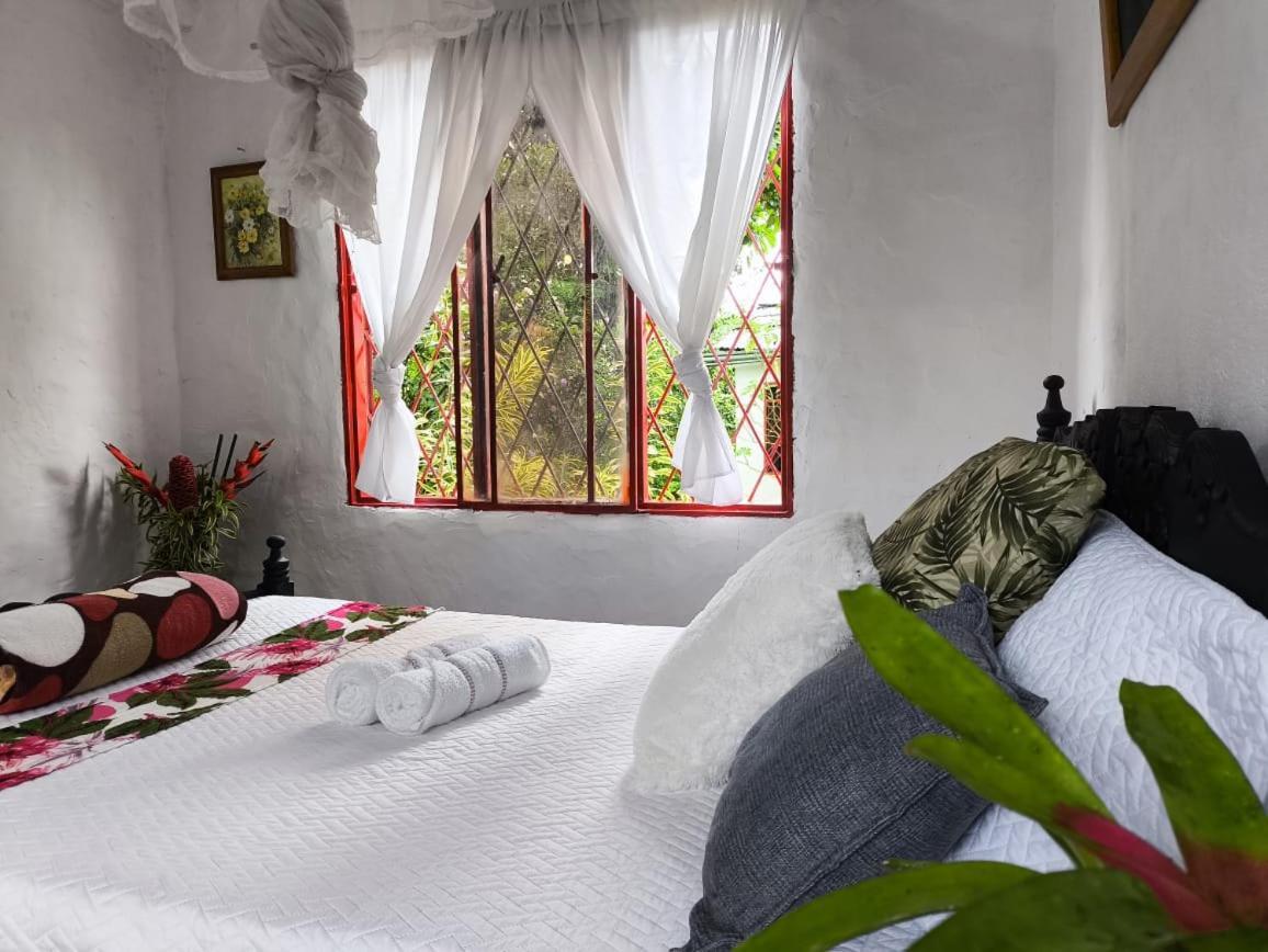 Villa Sonia Eco-Hostel Gigante Eksteriør bilde