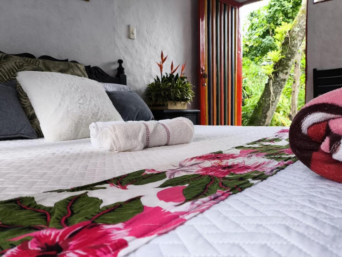 Villa Sonia Eco-Hostel Gigante Eksteriør bilde